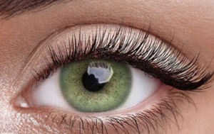 Lentes Ocean Green con tono verde inspirado en el océano. Realzan tu mirada con un estilo natural, elegante y cómodo para uso diario.