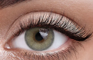 Los lentes Polar Light ofrecen un gris azulado radiante. Su diseño Polar crea una mirada clara, profunda y natural para lucir bella en todo momento.